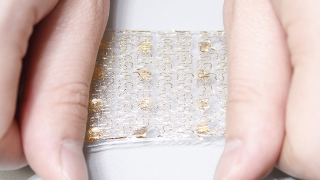 Illustration for article titled This Artificial Skin Can Feel Pressure, Heat and Dampness